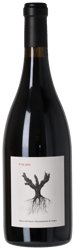 Dominio de Pingus Ribera del Duero PSI 2021