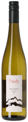 Axel Pauly Blauschiefer Riesling 2025