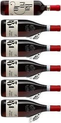 Casali - 1 Barolo och 5 Barbera