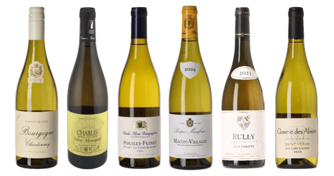 Vit Bourgogne Vinlåda