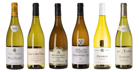 Vit Bourgogne Vinlåda