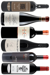 Ribera del Duero + Joker Vinlåda