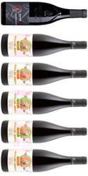 Xavier Vinlåda - 5 Côtes du Rhône och 1 Chateauneuf du Pape